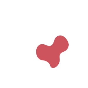 2b0c3d41-placeholder-1770023338