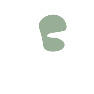 2b5d4154-placeholder-1770017592