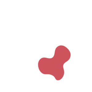 16f45afe-placeholder-1770027038