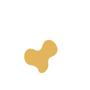 A29a8a69-placeholder-1770005637