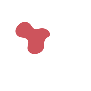 Af79497f-placeholder-1770017529