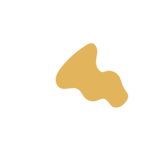 96982343-placeholder-1770009783