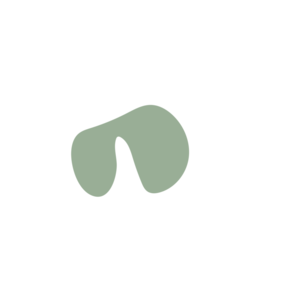 E8545bd8-placeholder-1770006862