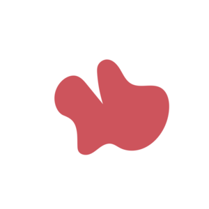 8b0e0f77-placeholder-1770031398