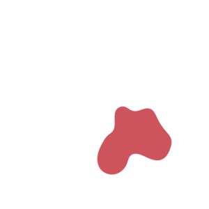 9a98f2e3-placeholder-1770017778