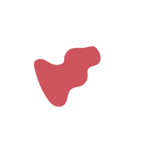 0b8af714-placeholder-1770018883