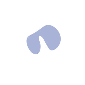 61b6369e-placeholder-1770052901