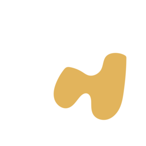 Faf4592f-placeholder-1770006267