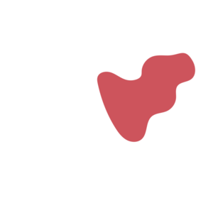 D73acc3b-placeholder-1770017777