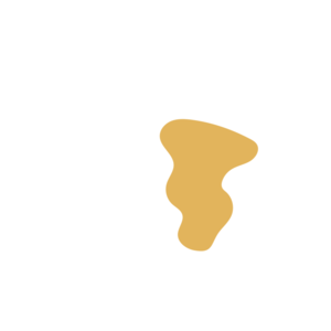 F321d1c8-placeholder-1768563740