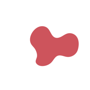 868329cd-placeholder-1770010879