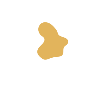 B71c225d-placeholder-1770053975