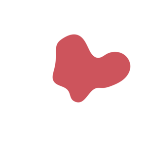 36cf5ea1-placeholder-1770009582