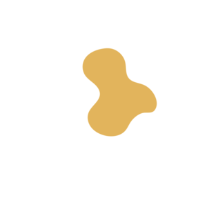 677c6045-placeholder-1770015574