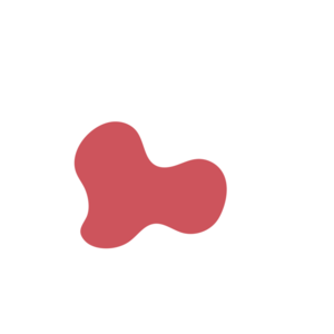 E20cda44-placeholder-1770036358