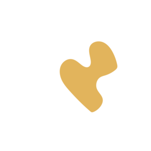 C187ecaf-placeholder-1769845266