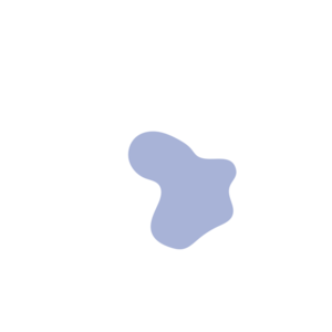 41abfbc5-placeholder-1770007762