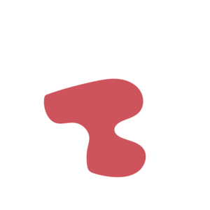 2954c504-placeholder-1770050352