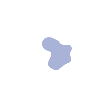 635c4dbd-placeholder-1770049898