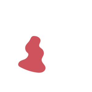 40ac835c-placeholder-1769754366