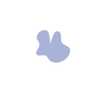 A8c251e2-placeholder-1770020147