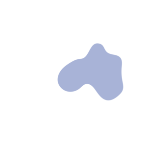 32ce22bd-placeholder-1770019428