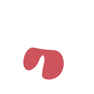 05fb5c5c-placeholder-1770018897