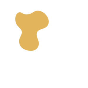 Abbcc0d5-placeholder-1768563718