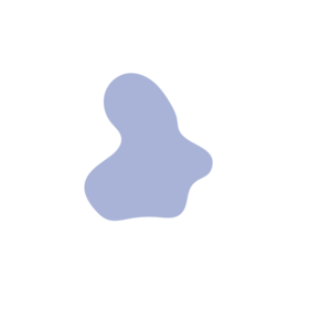 355e8557-placeholder-1770009621