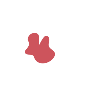 Abf9febc-placeholder-1770023176