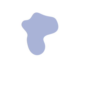 8bf49ffa-placeholder-1770046253