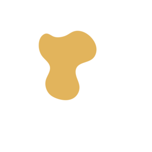 50ea1466-placeholder-1770005377