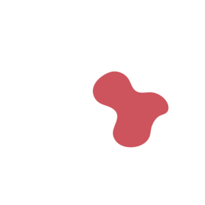 C2ec5467-placeholder-1770024238