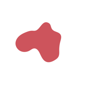 E2954186-placeholder-1770047586