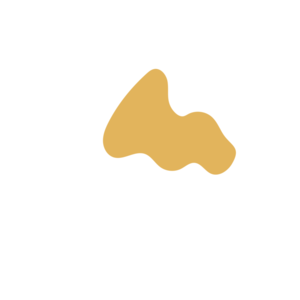 2b960d7a-placeholder-1770025753