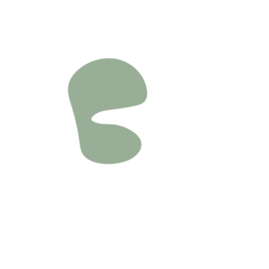 335c38be-placeholder-1770022108