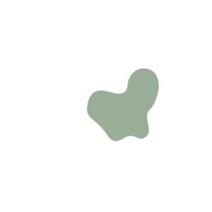 D6f19ba5-placeholder-1770051762