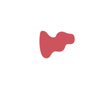 5ad65d68-placeholder-1770020158