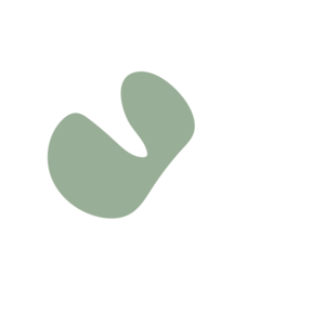 8479c70b-placeholder-1770013774