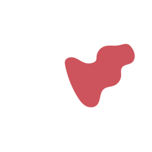 54108b4d-placeholder-1770029493