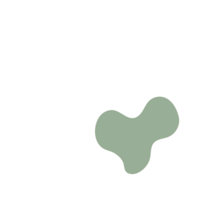 9e99dccc-placeholder-1770009268