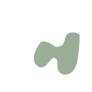 F895951c-placeholder-1768563673