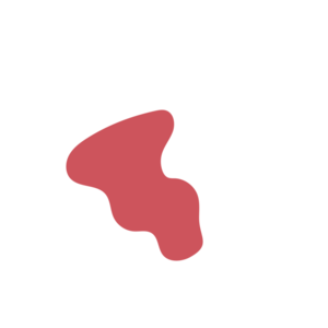 A55f4762-placeholder-1770021735