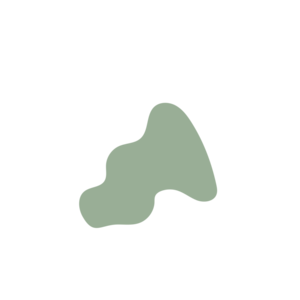 4170e147-placeholder-1770011749