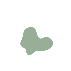 C8da700b-placeholder-1768563666