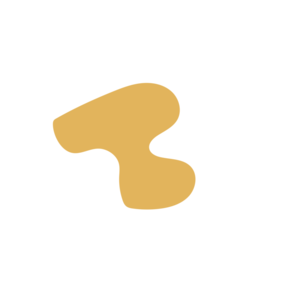 C5ab1d59-placeholder-1770010273