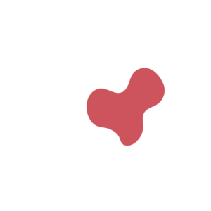 8e52b32c-placeholder-1770015574