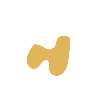 E746c257-placeholder-1770010179