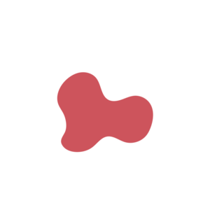 51e53287-placeholder-1770019896