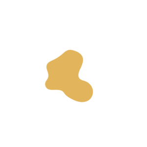 Cbc39f94-placeholder-1770053498